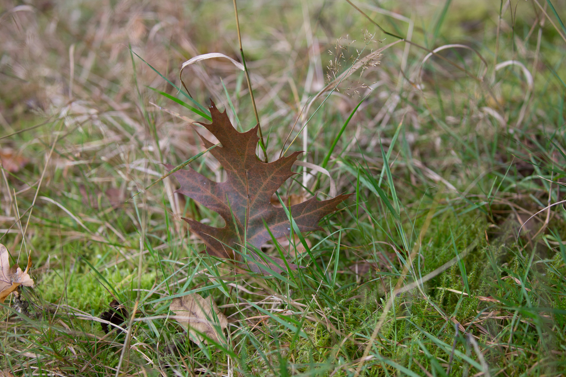 20231014100726 3K6A2178